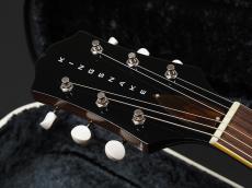 KING SNAKE Muddy ~Tobacco Sunburst~_3