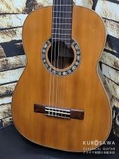 Jaime Ribot Jaime Ribot ハイメ・リボー 1910年頃 松・ローズウッド 645mm【日本総本店2F 在庫品】