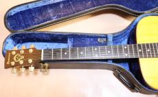 Ibanez AW-120 アートウッド　シリーズ_6