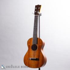 SAKATA GUITAR UT-1C