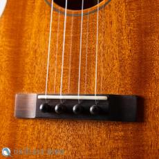 SAKATA GUITAR UT-1C_2