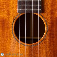 SAKATA GUITAR UT-1C_3
