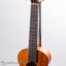 SAKATA GUITAR UT-1C_4