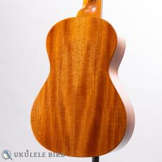 SAKATA GUITAR UT-1C_8