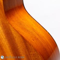 SAKATA GUITAR UT-1C_10