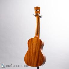 SAKATA GUITAR UT-1C_11