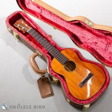 SAKATA GUITAR UT-1C_12