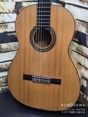 Domingo Esteso ドミンゴ・エステソ 1921年製 松・シープレス 【日本総本店2F 在庫品】_2