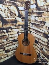 Domingo Esteso ドミンゴ・エステソ 1921年製 松・シープレス 【日本総本店2F 在庫品】_3