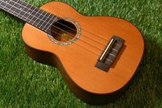 aNueNue aNN-S4 Soprano