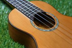 aNueNue aNN-S4 Soprano_10