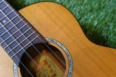 aNueNue aNN-C4 Concert_9
