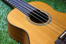 aNueNue aNN-C4 Concert_10