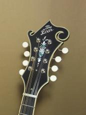 Loar LM-600-VS_6