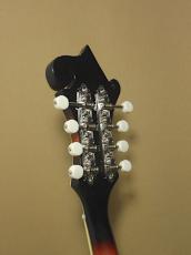 Loar LM-600-VS_7