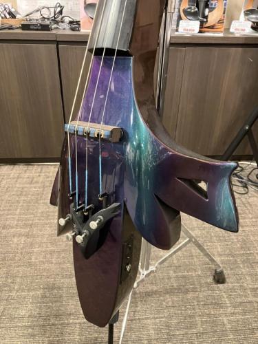 Jordan Electric Cello 'KINNARA'【クレジット無金利キャンペーン実施中!】