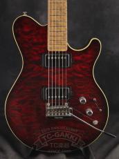 MUSIC MAN 25th HH Anniversary Guitar