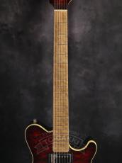 MUSIC MAN 25th HH Anniversary Guitar_3