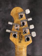 MUSIC MAN 25th HH Anniversary Guitar_15
