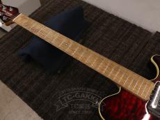 MUSIC MAN 25th HH Anniversary Guitar_17