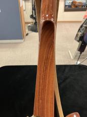 Jordan Electric Violin 《 Mulga Wood 》[4string] 【クレジット無金利キャンペーン実施中!】_6