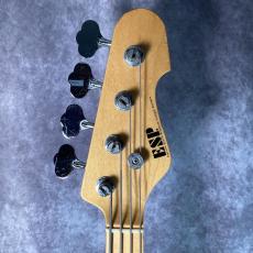 ESP AP_2
