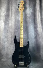 ESP AP_4