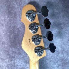ESP AP_6