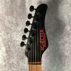 SCHECTER PA-AM/SH_2