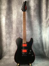 SCHECTER PA-AM/SH_4