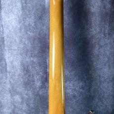 Fender Japan MG65_7