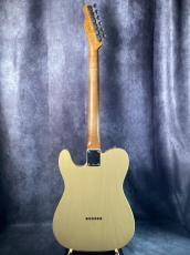 Fender Mexico Vintera ⅡRoad Worn '60s Telecaster_5