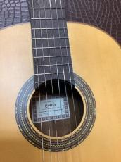 ESTEVE  TURIA (トゥリア) 650mm マイク搭載　エステベ_4