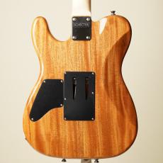 SCHECTER 【名古屋店オーダーモデル】PT5B CTM/FRT M/HR -Black Natural-《NEW》_3