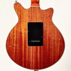 Brian May Guitars Brian May Special Left Handed -Natural-_3