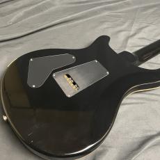Paul Reed Smith [PRS] custom 24 10 top 20th anniversary_5