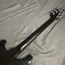 Paul Reed Smith [PRS] custom 24 10 top 20th anniversary_6