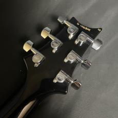 Paul Reed Smith [PRS] custom 24 10 top 20th anniversary_7