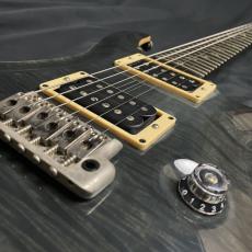 Paul Reed Smith [PRS] custom 24 10 top 20th anniversary_9