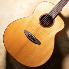 aNueNue aNN-LF550E_2