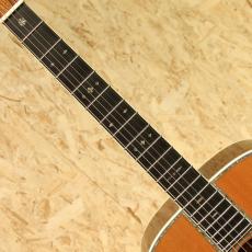 Martin D-45V 2010_6