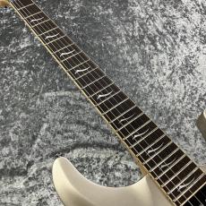 FUJIGEN EEL-MH-TR/PLR【USED】_3