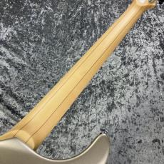 FUJIGEN EEL-MH-TR/PLR【USED】_7