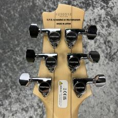 FUJIGEN EEL-MH-TR/PLR【USED】_8