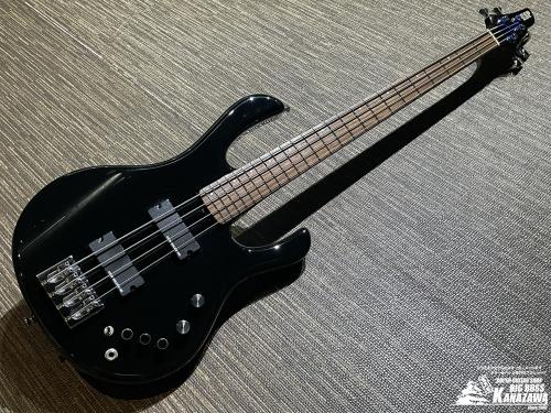 ESP BOTTOM LINE【生産完了レアベース!】