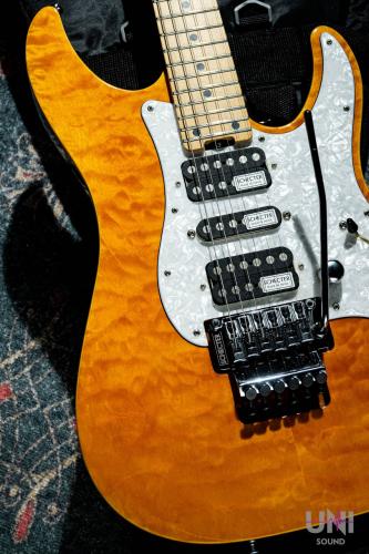 SCHECTER SD-2-24-AL/AMB/M