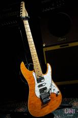 SCHECTER SD-2-24-AL/AMB/M_2