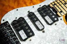 SCHECTER SD-2-24-AL/AMB/M_4