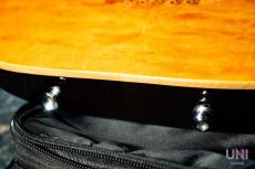 SCHECTER SD-2-24-AL/AMB/M_7