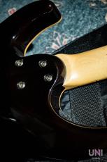 SCHECTER SD-2-24-AL/AMB/M_8